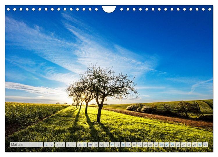 Produktbild: Bunter Pf&auml;lzerwald (Wandkalender 2026 DIN A4 quer), CALVENDO Monatskalender