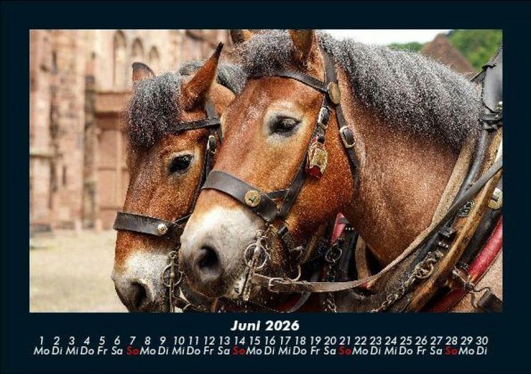 Produktbild: Pferdegefl&uuml;ster 2026 Fotokalender DIN A5