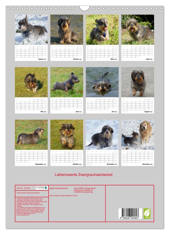 Produktbild: Liebenswerte Zwergrauhaardackel (Wandkalender 2026 DIN A3 hoch), CALVENDO Monatskalender
