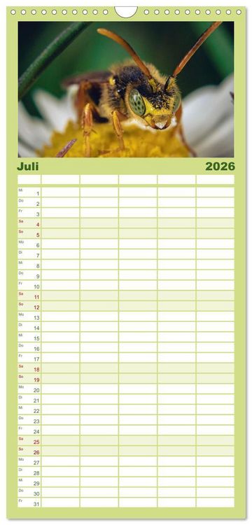 Produktbild: Familienplaner 2026 - Makrowelten Tierreich mit 5 Spalten (Wandkalender, 21 x 45 cm) CALVENDO