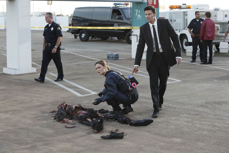 Produktbild: Bones - Season 5 [6 DVDs]