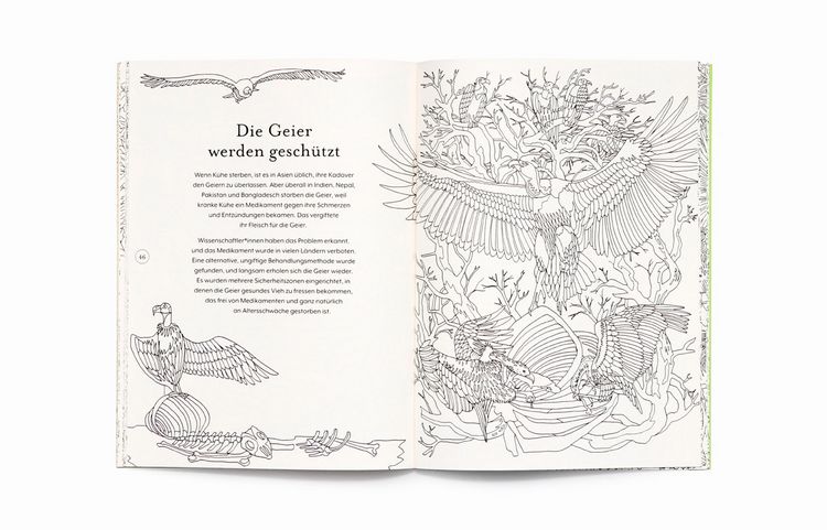 Produktbild: Die R&uuml;ckkehr der Wildnis. Ausmalbuch