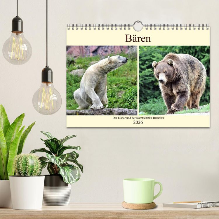 Produktbild: B&auml;ren - Der Eisb&auml;r und der Kamtschatka-Braunb&auml;r (Wandkalender 2026 DIN A4 quer), CALVENDO Monatskalender