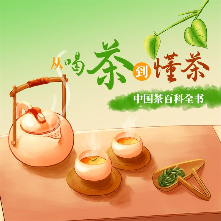 Produktbild: 从喝茶到懂茶