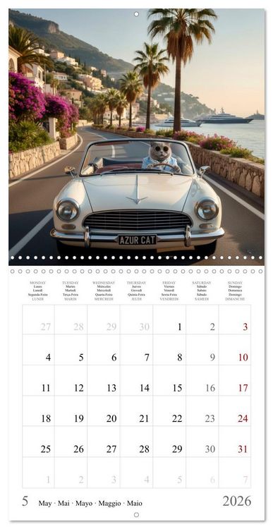 Produktbild: A British Shorthair's Escapes (Wall Calendar 2026 12 &times; 12 Inch) CALVENDO 12 Month Wall Calendar