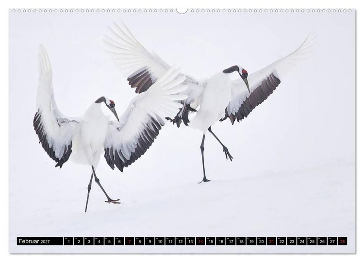 Produktbild: Japanische Vogelwelt im Winter (hochwertiger Premium Wandkalender 2027 DIN A2 quer), Kunstdruck in Hochglanz
