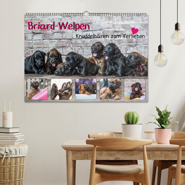 Produktbild: Briard-Welpen - Knuddelb&auml;ren zum Verlieben (Wandkalender 2026 DIN A2 quer), CALVENDO Monatskalender
