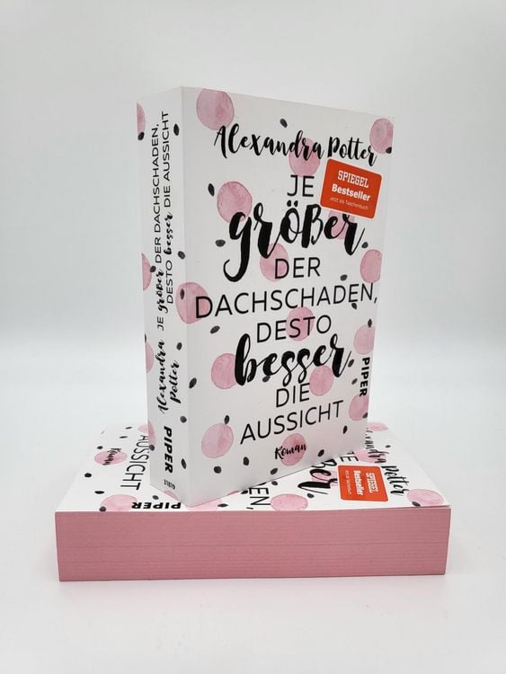 Produktbild: Je gr&ouml;&szlig;er der Dachschaden, desto besser die Aussicht