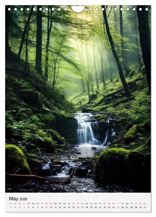 Produktbild: Dreamscapes of the Forest (Wall Calendar 2026 DIN A4 portrait), CALVENDO 12 Month Wall Calendar