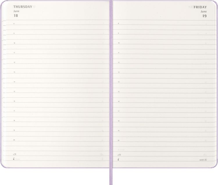 Moleskine 12 Monate Tageskalender 2026, Large/A5, 1 Tag = 1 Seite, Weicher Einband, Myrtengrün : Buy Online at Best Price in KSA - Souq is now