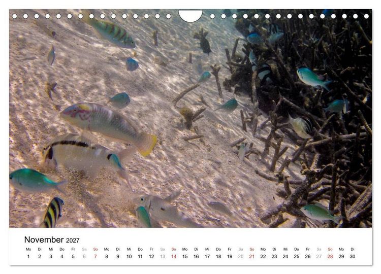 Produktbild: Unterwasserwelt der Malediven II (Wandkalender 2027 DIN A4 quer), CALVENDO Monatskalender