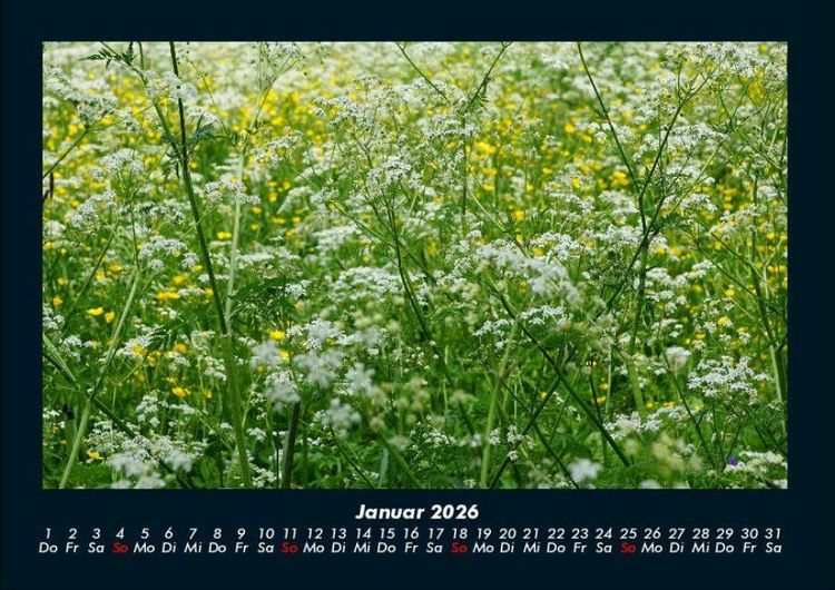Produktbild: Blumentr&auml;ume 2026 Fotokalender DIN A4