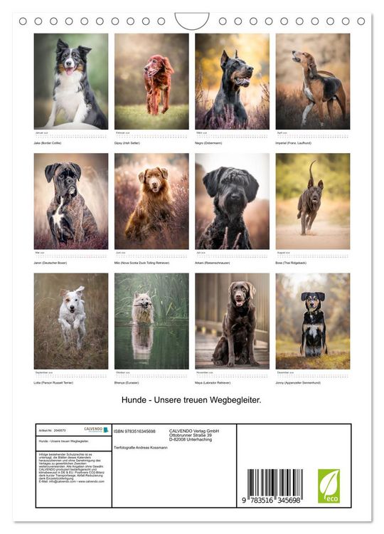 Produktbild: Hunde - Unsere treuen Wegbegleiter. (Wandkalender 2026 DIN A4 hoch), CALVENDO Monatskalender