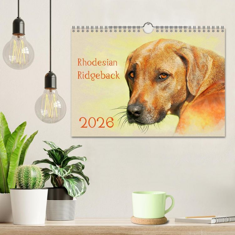 Produktbild: Rhodesian Ridgeback 2026 (Wandkalender 2026 DIN A4 quer), CALVENDO Monatskalender