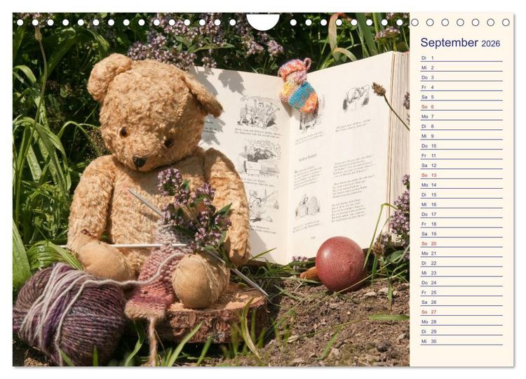 Produktbild: Geliebte B&auml;ren - Teddys (Wandkalender 2026 DIN A4 quer), CALVENDO Monatskalender