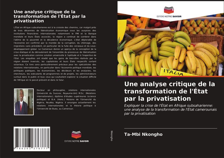 Produktbild: Une analyse critique de la transformation de l'&Eacute;tat par la privatisation