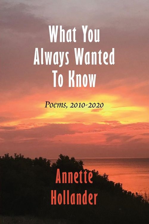 Produktbild: What You Always Wanted To Know