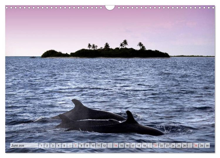 Produktbild: MALEDIVEN (Wandkalender 2026 DIN A3 quer), CALVENDO Monatskalender
