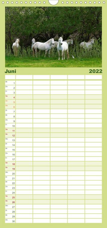 Produktbild: Familienplaner Faszination Pferde (Wandkalender 2022 , 21 cm x 45 cm, hoch)