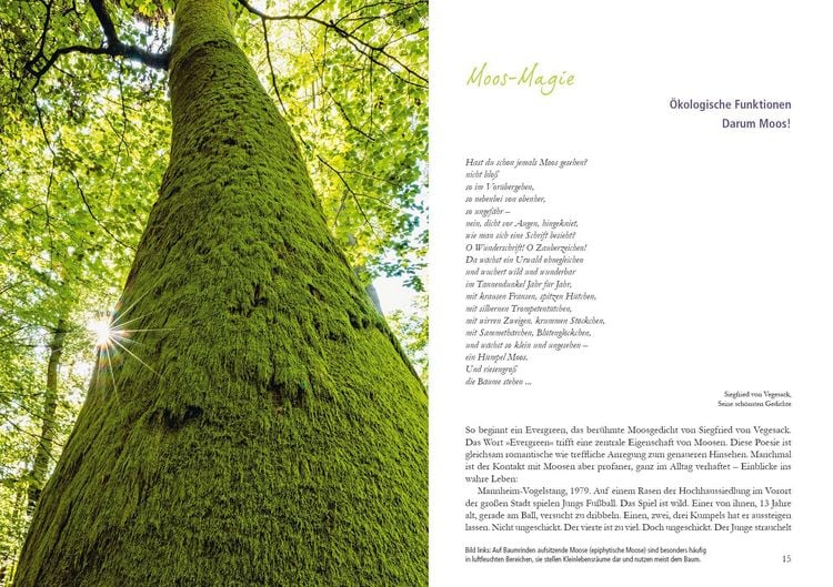Produktbild: Der Moosgarten