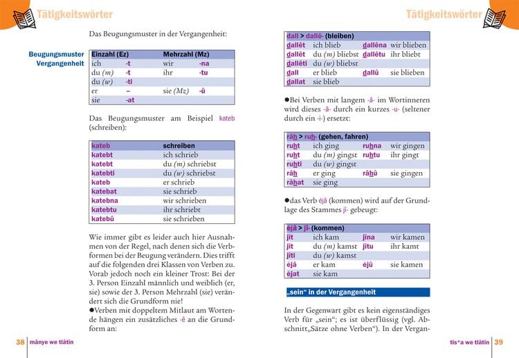 Produktbild: Pal&auml;stinensisch-Syrisch-Arabisch - Wort f&uuml;r Wort