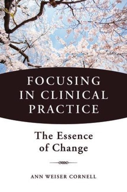 Produktbild: Focusing in Clinical Practice