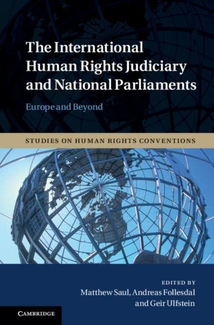 Produktbild: International Human Rights Judiciary and National Parliaments