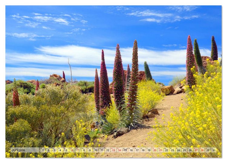 Produktbild: Teneriffa - Insel der Gl&uuml;ckseligen (hochwertiger Premium Wandkalender 2026 DIN A2 quer), Kunstdruck in Hochglanz