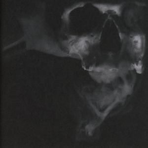 Produktbild: Vacuum