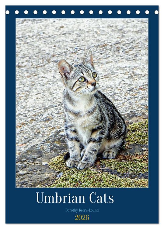 Produktbild: Umbrian Cats (Desk Calendar 2026 DIN A5 portrait), CALVENDO 12 Month DeskCalendar