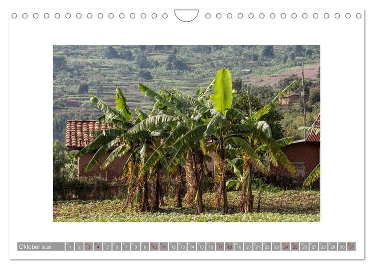 Produktbild: Ruanda (Wandkalender 2026 DIN A4 quer), CALVENDO Monatskalender