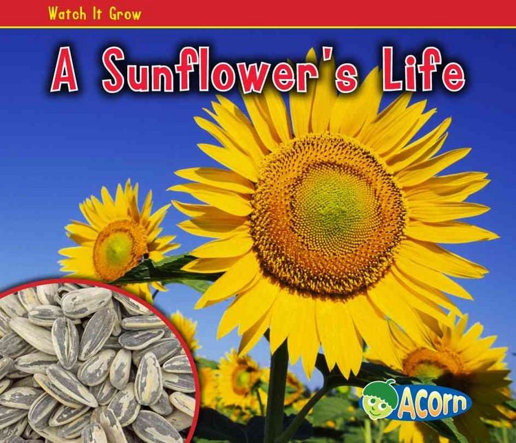 Produktbild: A Sunflower's Life