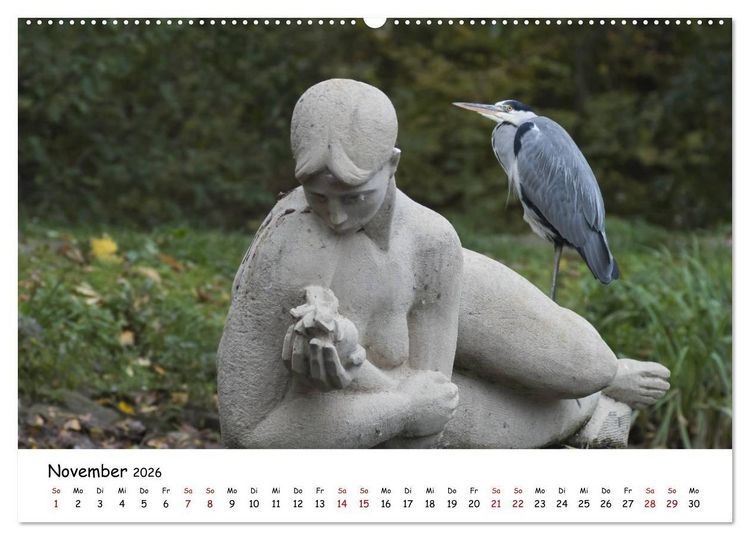 Produktbild: Die Graureiher vom Ahnepark (Wandkalender 2026 DIN A2 quer), CALVENDO Monatskalender