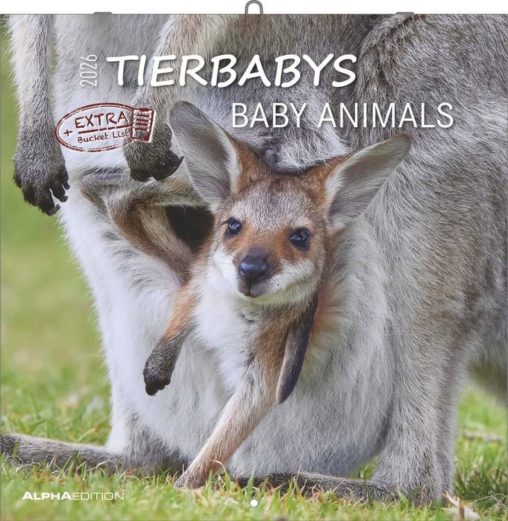 Bild vom Artikel Tierbabys 2026 - Broschürenkalender 30x30 cm (30x60 geöffnet) - Kalender mit Platz für Notizen - Baby Animals - Bildkalender - Wandplaner - Alpha Edit vom Autor Alpha Edition