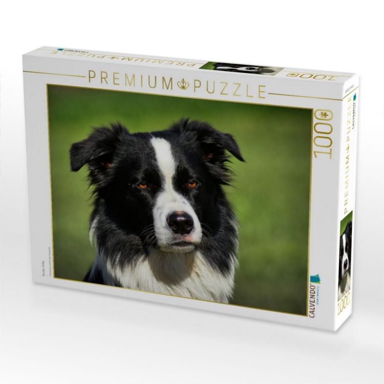 Produktbild: CALVENDO Puzzle Border Collie | 1000 Teile Lege-Gr&ouml;&szlig;e 64x48cm Foto-Puzzle f&uuml;r gl&uuml;ckliche Stunden