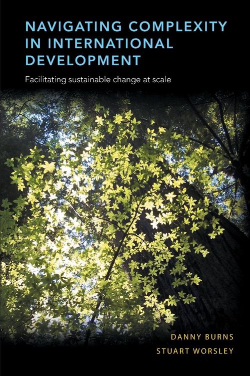 Produktbild: Navigating Complexity in International Development