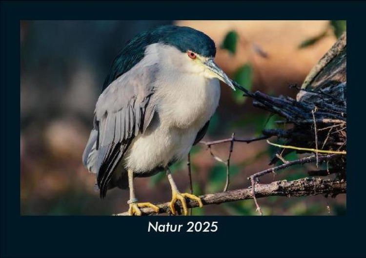 Produktbild: Natur 2025 Fotokalender DIN A5