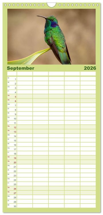 Produktbild: Familienplaner 2026 - Zauberhafte Kolibris in Costa Rica mit 5 Spalten (Wandkalender, 21 x 45 cm) CALVENDO
