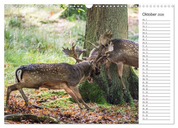 Produktbild: Emotionale Momente: Wild und Jagd. (Wandkalender 2026 DIN A3 quer), CALVENDO Monatskalender