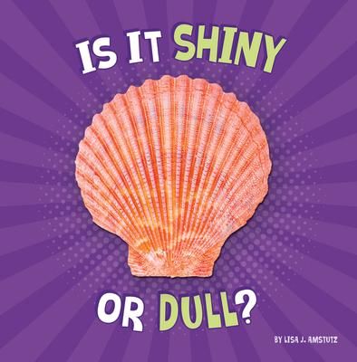 Produktbild: Is It Shiny or Dull?