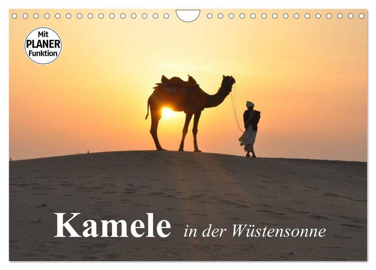 Produktbild: Kamele in der W&uuml;stensonne (Wandkalender 2026 DIN A4 quer), CALVENDO Monatskalender