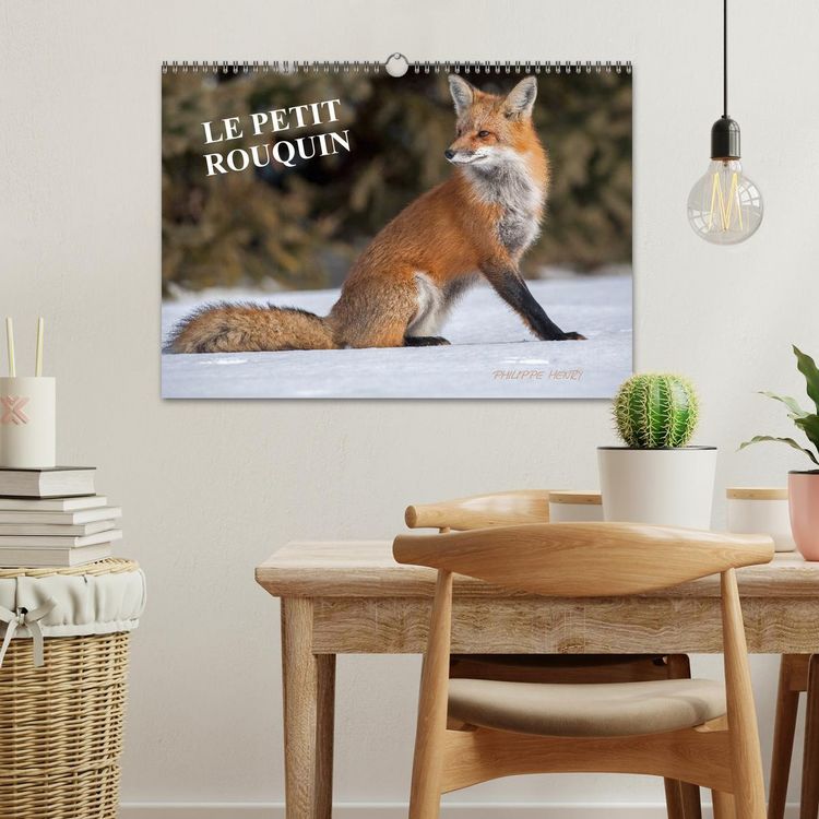 Produktbild: LE PETIT ROUQUIN (Calendrier mural 2026 DIN A3 vertical), CALVENDO calendrier mensuel