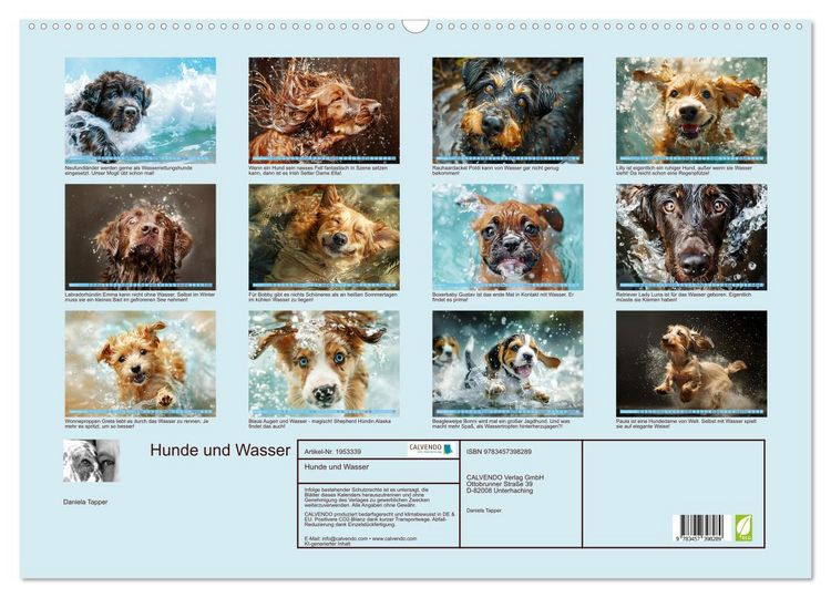 Produktbild: Hunde und Wasser (Wandkalender 2026 DIN A2 quer), CALVENDO Monatskalender
