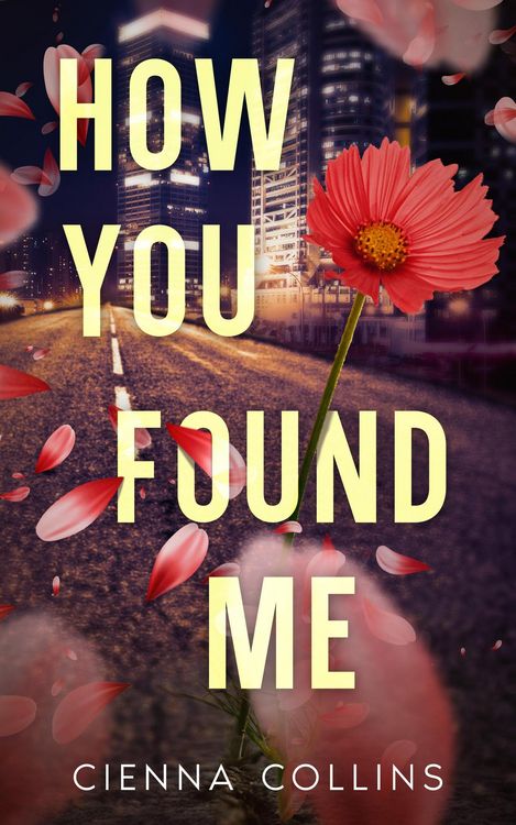 Produktbild: How You Found Me