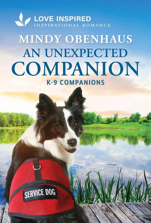Produktbild: An Unexpected Companion