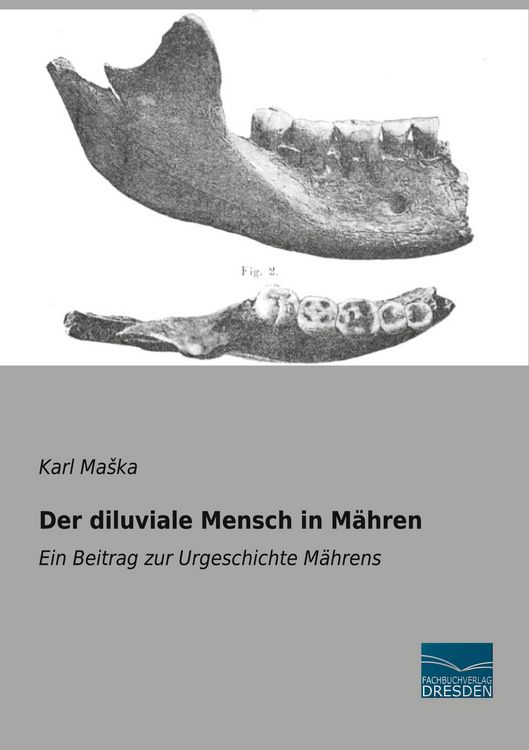Produktbild: Der diluviale Mensch in M&auml;hren