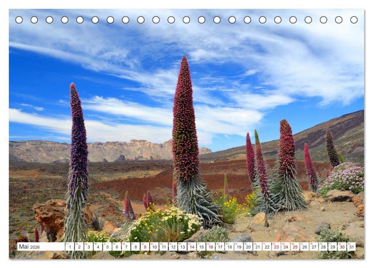 Produktbild: Teneriffa Insel der Gl&uuml;ckseligen (Tischkalender 2026 DIN A5 quer), CALVENDO Monatskalender