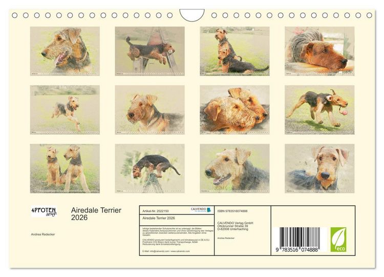 Produktbild: Airedale Terrier 2026 (Wandkalender 2026 DIN A4 quer), CALVENDO Monatskalender