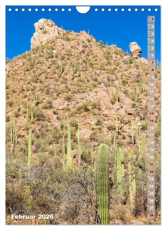Produktbild: SAGUARO NATIONAL PARK W&uuml;stenimpressionen aus Arizona (Wandkalender 2026 DIN A4 hoch), CALVENDO Monatskalender