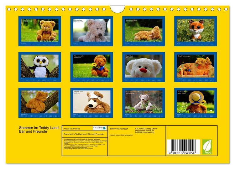 Produktbild: Sommer im Teddy-Land. B&auml;r und Freunde (Wandkalender 2026 DIN A4 quer), CALVENDO Monatskalender